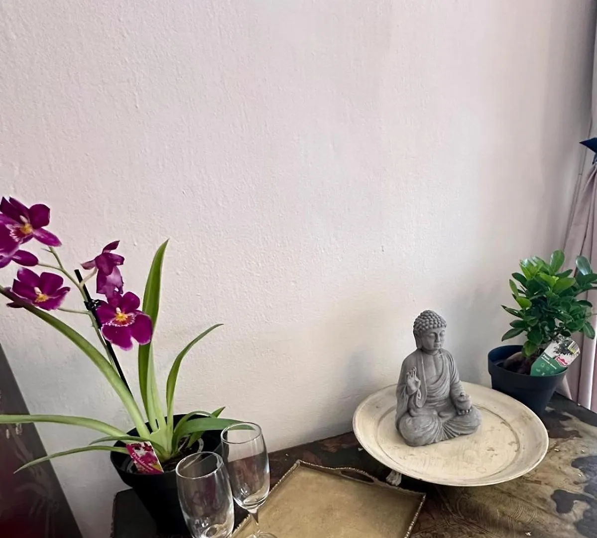 Stepanska Apartman Prága 0*,